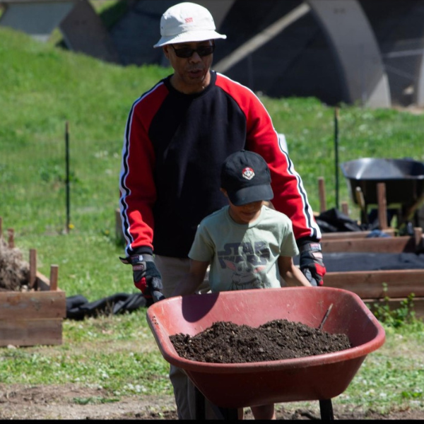 Man in hat pushes wheelbarrow with help of a young child also wearing a hat.