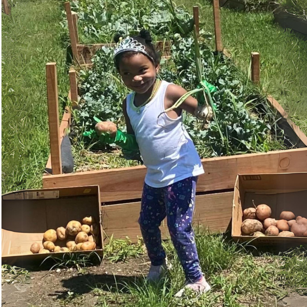 A young girl wearing a tiara holds a potato she's pulled from the ground.